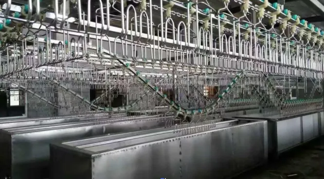 360202501141406231 360202501141406231