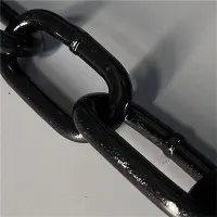 রিং মনোরেল চেইন